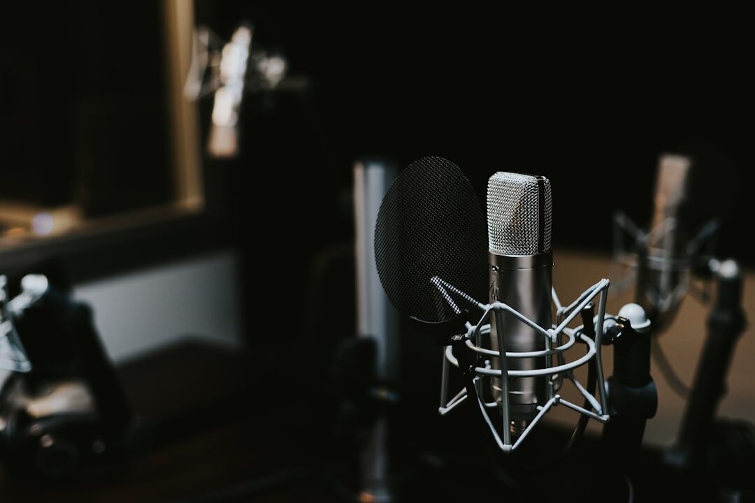 Professional microphone for radio or podcast recording